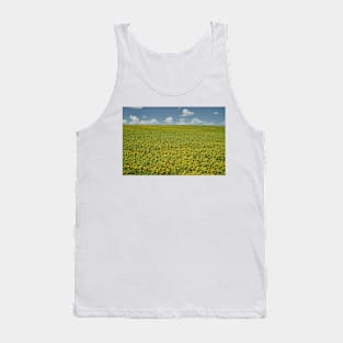 Sunflower field in the summer Tank Top